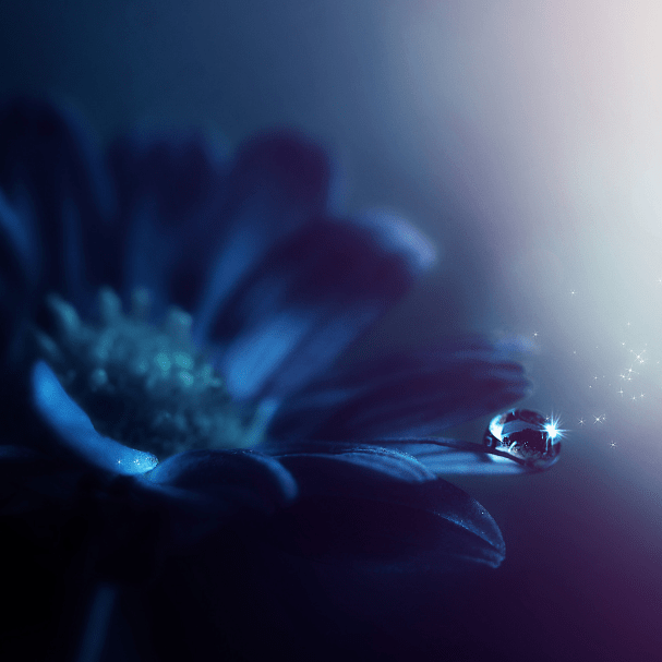 Osho course image