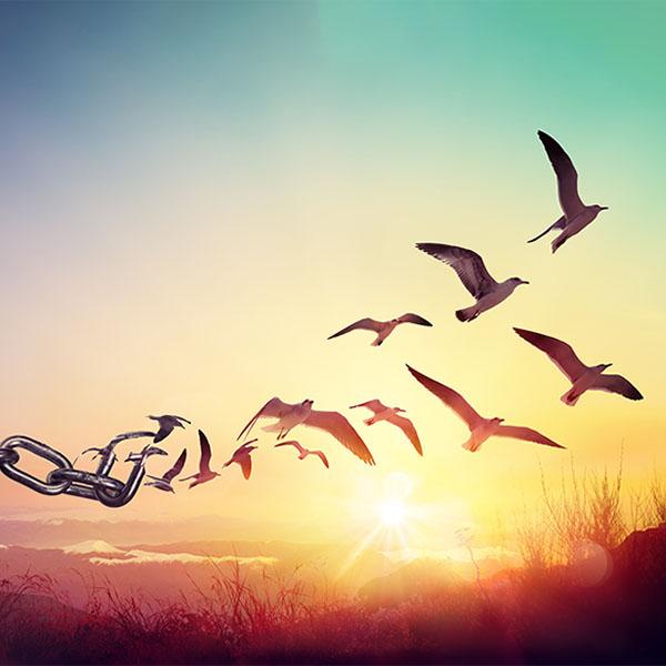 Osho course image