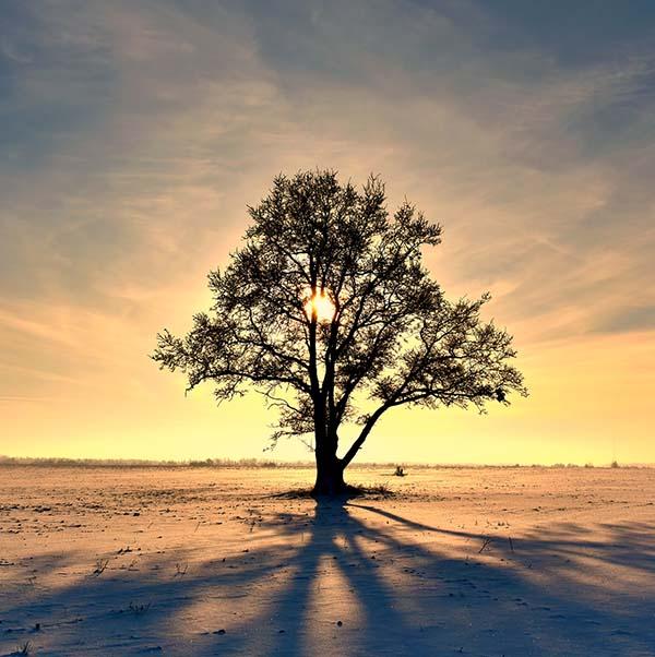 Osho course image