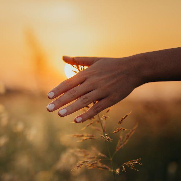 Osho course image