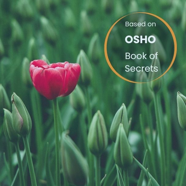Osho course image
